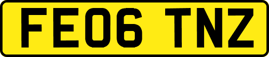 FE06TNZ