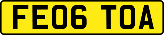 FE06TOA