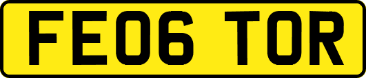 FE06TOR
