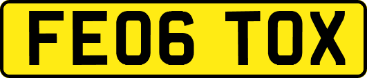 FE06TOX