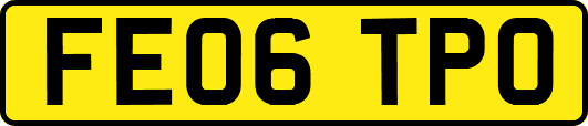 FE06TPO