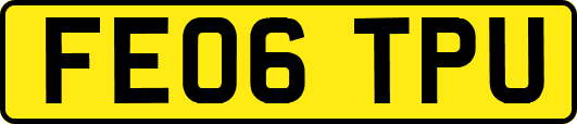 FE06TPU