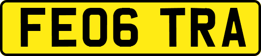 FE06TRA