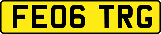 FE06TRG