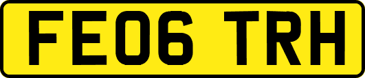 FE06TRH
