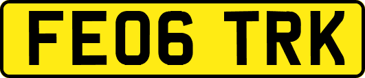 FE06TRK