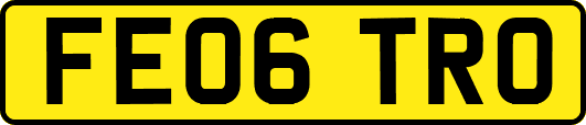 FE06TRO
