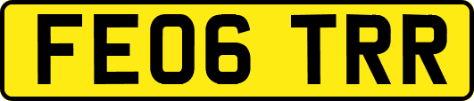 FE06TRR