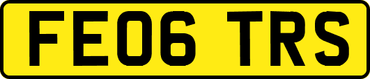 FE06TRS