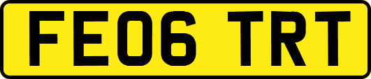 FE06TRT