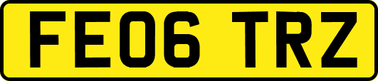 FE06TRZ