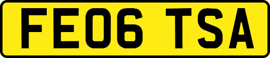 FE06TSA
