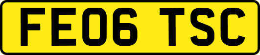 FE06TSC