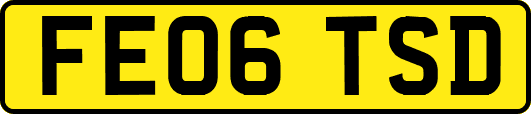 FE06TSD