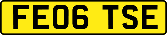 FE06TSE