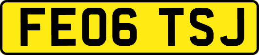 FE06TSJ