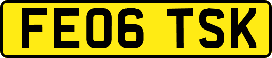FE06TSK
