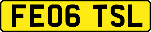 FE06TSL