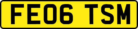 FE06TSM