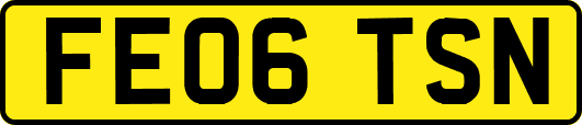 FE06TSN