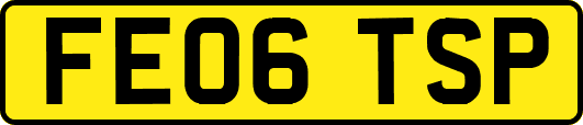 FE06TSP