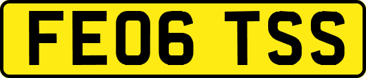 FE06TSS
