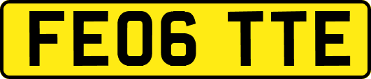 FE06TTE