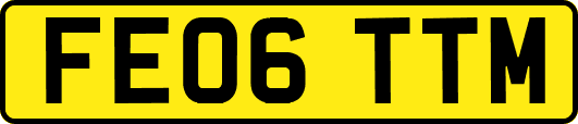 FE06TTM