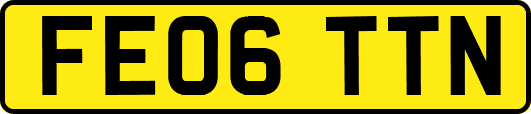 FE06TTN