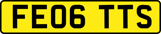 FE06TTS