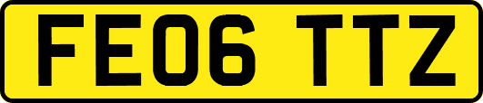 FE06TTZ