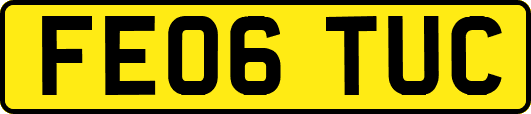 FE06TUC