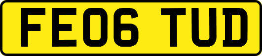 FE06TUD