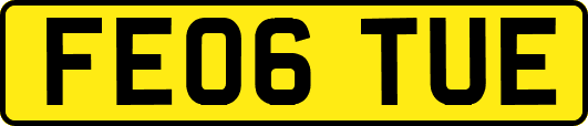 FE06TUE