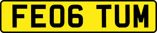 FE06TUM