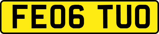 FE06TUO