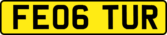 FE06TUR