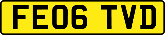 FE06TVD