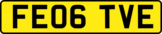 FE06TVE