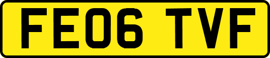 FE06TVF