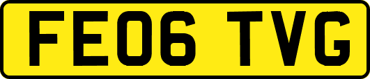 FE06TVG