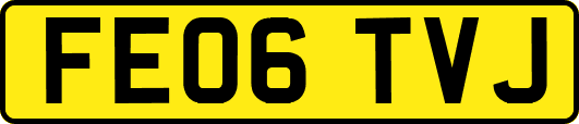 FE06TVJ