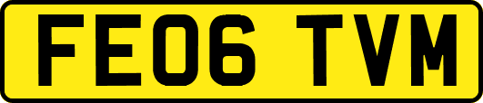 FE06TVM
