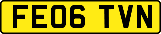 FE06TVN