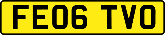 FE06TVO