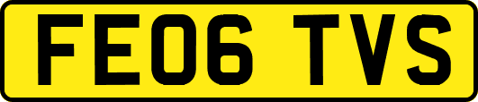 FE06TVS