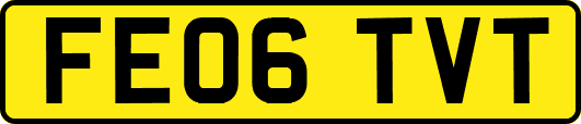 FE06TVT