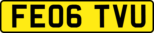 FE06TVU