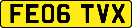 FE06TVX