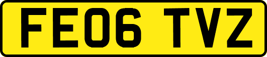 FE06TVZ